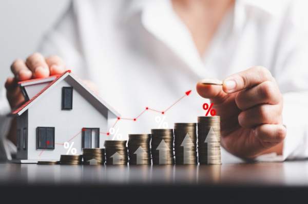 1d2794ef36cb8a76262d26007663eb40-elagya.jpg